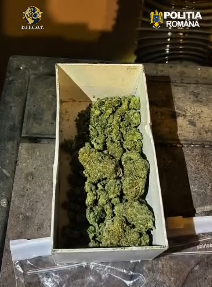 Captură de ecran 2026-04-02 152449