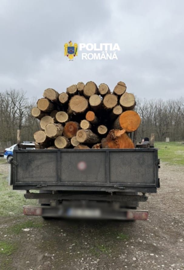 WhatsApp Image 2026-04-02 at 12.44.09